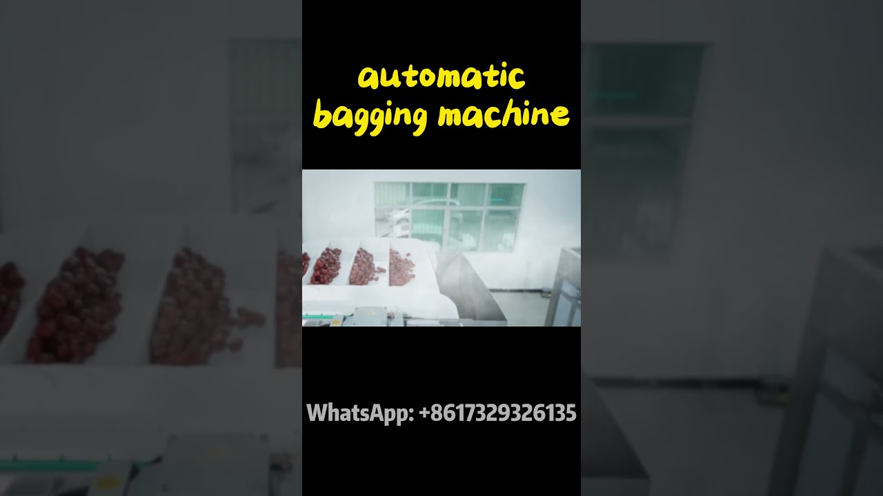 Automatic bagging machine in act