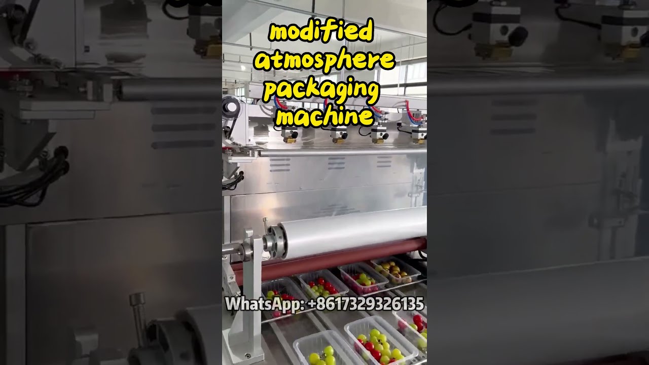 Automatic modified atmosphere pa 1