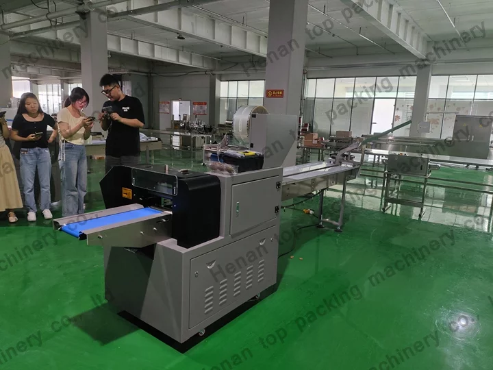 Pillow packaging machine price