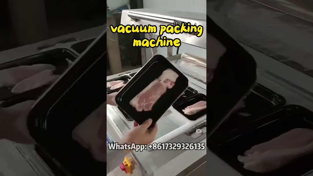 싱글챔버진공포장기 1 Vacuum packing machine automatic